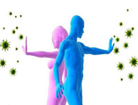 Những tác dụng không ngờ của quả óc chó