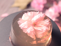 [ẢNH] Top 9 món ăn 