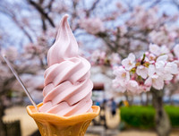 [ẢNH] Top 9 món ăn 