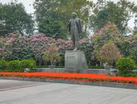 [ẢNH] Vẻ quyến rũ đến say đắm lòng người của hoa ban giữa lòng Thủ đô