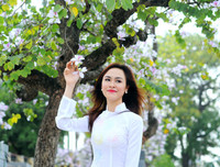 [ẢNH] Vẻ quyến rũ đến say đắm lòng người của hoa ban giữa lòng Thủ đô