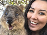 [ẢNH] Cận cảnh loài động vật được mệnh danh là 