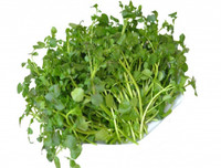 Những thực phẩm ngăn ngừa ung thư cổ tử cung