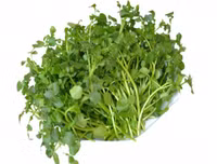 Những thực phẩm ngăn ngừa ung thư cổ tử cung