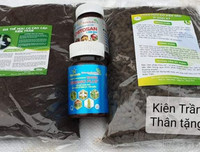 [ẢNH] Những phụ nữ 