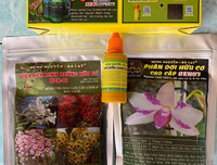 [ẢNH] Những phụ nữ 