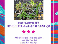 [ẢNH] Những phụ nữ 