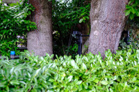 [ẢNH] Chiêm ngưỡng nhưng khu phố thiên đường, nơi 