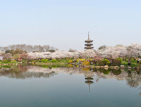 [ẢNH] Điều chưa biết về Vũ Hán - Thành phố trong 