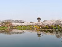 [ẢNH] Điều chưa biết về Vũ Hán - Thành phố trong 