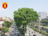 [ẢNH] Đường phố Hà Nội vắng hoe, người dân chống nắng kín mít vẫn ngại ra đường