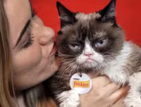 [ẢNH] Giật mình trước tài sản kếch xù của những thú cưng giàu nhất thế giới