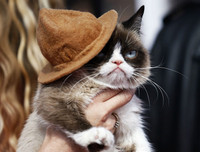 [ẢNH] Giật mình trước tài sản kếch xù của những thú cưng giàu nhất thế giới