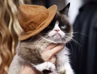 [ẢNH] Giật mình trước tài sản kếch xù của những thú cưng giàu nhất thế giới