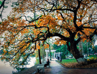 [ẢNH] Những địa điểm vui chơi quanh Hà Nội cho ngày Phụ nữ Việt Nam 20-10