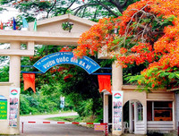 [ẢNH] Những địa điểm vui chơi quanh Hà Nội cho ngày Phụ nữ Việt Nam 20-10