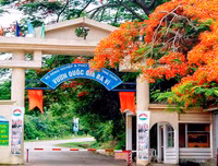[ẢNH] Những địa điểm vui chơi quanh Hà Nội cho ngày Phụ nữ Việt Nam 20-10