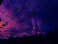 [ẢNH] Bầu trời Nhật Bản chuyển màu tím 