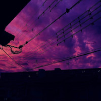 [ẢNH] Bầu trời Nhật Bản chuyển màu tím 