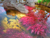 [ẢNH] Top 7 dòng sông kỳ lạ bậc nhất hành tinh