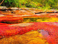 [ẢNH] Top 7 dòng sông kỳ lạ bậc nhất hành tinh