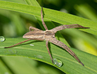 [ẢNH] Khám phá những 