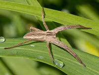 [ẢNH] Khám phá những 