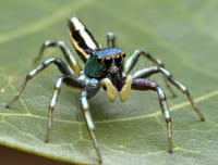 [ẢNH] Khám phá những 