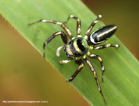 [ẢNH] Khám phá những 