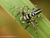 [ẢNH] Khám phá những 