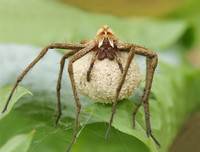 [ẢNH] Khám phá những 