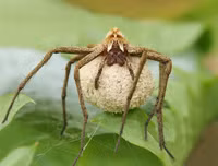 [ẢNH] Khám phá những 