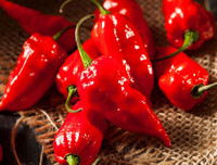 [ẢNH] Top 10 loại ớt siêu cay không phải ai cũng dám thử