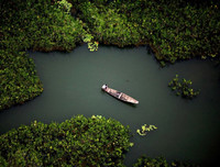 [Ảnh] Xót xa vẻ đẹp huyền bí của rừng rậm Amazon trước khi xảy cháy kinh hoàng