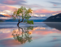 [ẢNH] Điểm danh những thứ 