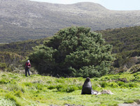 [ẢNH] Điểm danh những thứ 