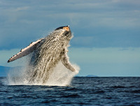 [ẢNH] Điểm danh những thứ 