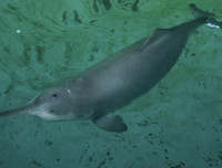 [ẢNH] Điểm danh những thứ 