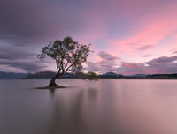 [ẢNH] Điểm danh những thứ 