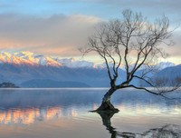 [ẢNH] Điểm danh những thứ 