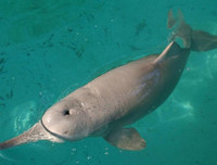 [ẢNH] Điểm danh những thứ 