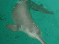 [ẢNH] Điểm danh những thứ 