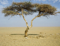 [ẢNH] Điểm danh những thứ 