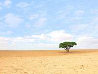 [ẢNH] Điểm danh những thứ 