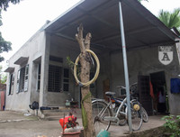 [ẢNH] Nụ cười lạc quan của nữ sinh Ngoại Thương trước cái Tết 