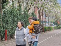 [ẢNH] Vẻ quyến rũ đến say đắm lòng người của hoa ban giữa lòng Thủ đô