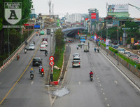 [Ảnh] Chiêm ngưỡng loài hoa 