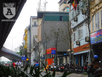 [Ảnh] Chiêm ngưỡng loài hoa 