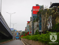 [Ảnh] Chiêm ngưỡng loài hoa 