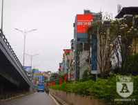 [Ảnh] Chiêm ngưỡng loài hoa 